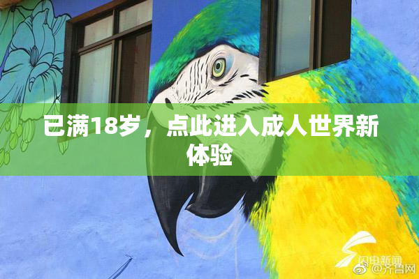 已满18岁，点此进入成人世界新体验