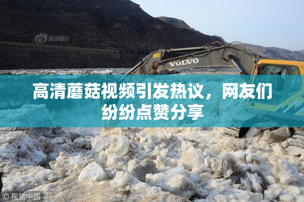 高清蘑菇视频引发热议，网友们纷纷点赞分享