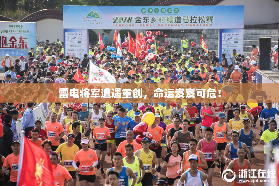 雷电将军遭遇重创，命运岌岌可危！