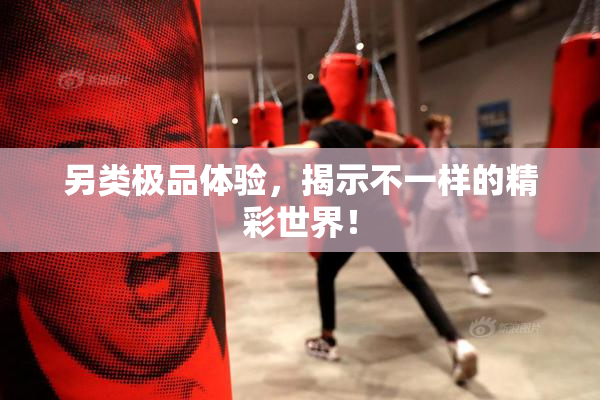 另类极品体验，揭示不一样的精彩世界！