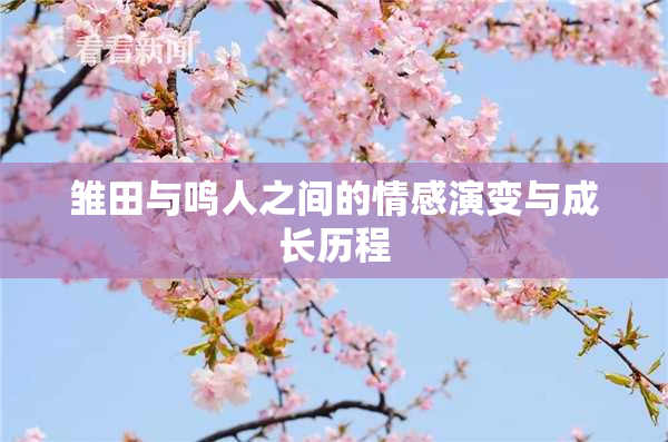 雏田与鸣人之间的情感演变与成长历程
