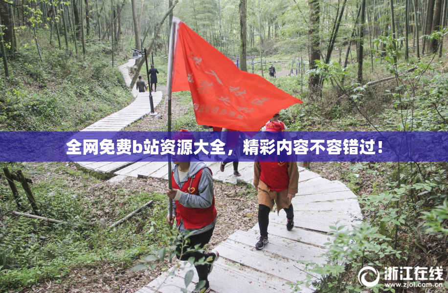 全网免费b站资源大全，精彩内容不容错过！