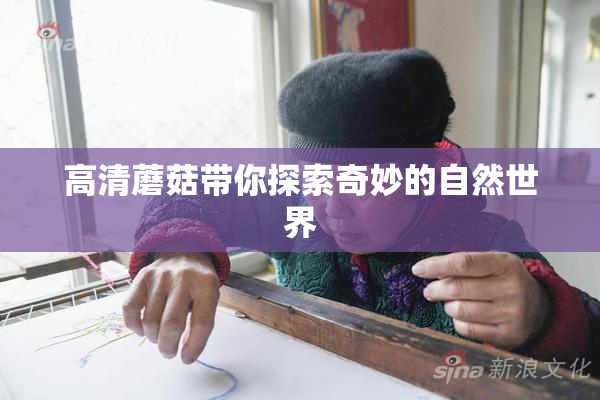 高清蘑菇带你探索奇妙的自然世界