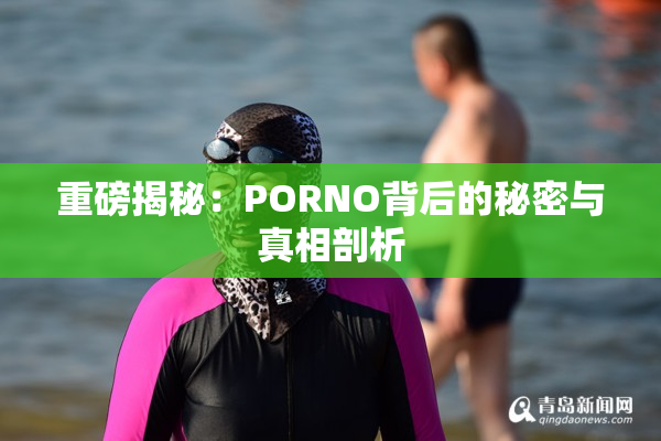 重磅揭秘：PORNO背后的秘密与真相剖析