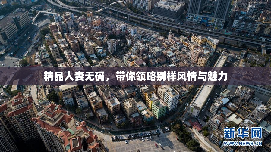 精品人妻无码，带你领略别样风情与魅力