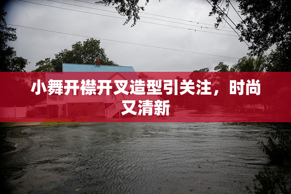 小舞开襟开叉造型引关注，时尚又清新