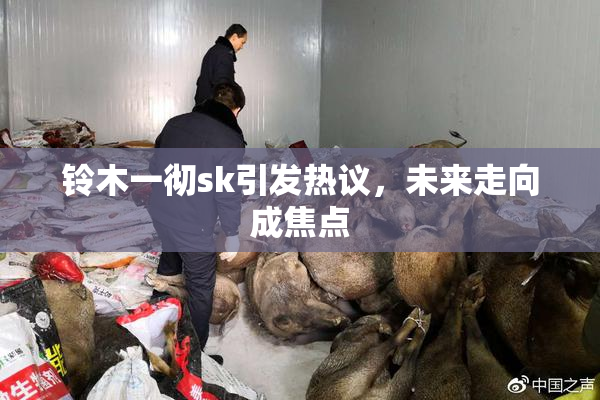 铃木一彻sk引发热议，未来走向成焦点