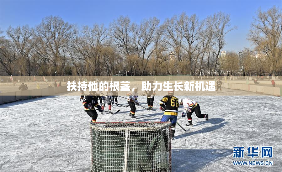 扶持他的根茎，助力生长新机遇