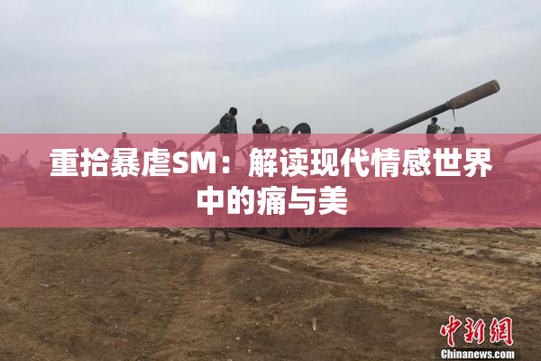 重拾暴虐SM：解读现代情感世界中的痛与美