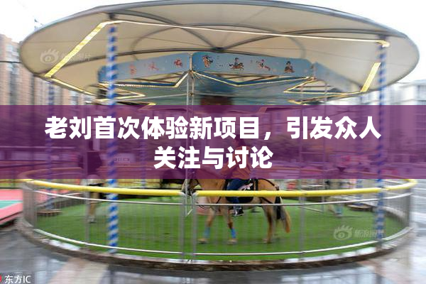 老刘首次体验新项目，引发众人关注与讨论