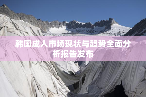 韩国成人市场现状与趋势全面分析报告发布