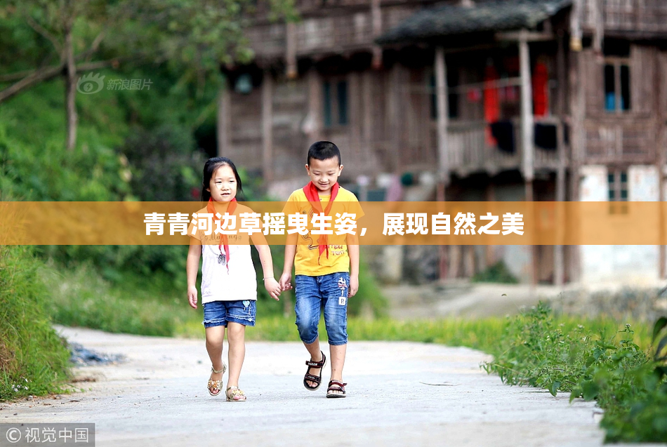 青青河边草摇曳生姿，展现自然之美