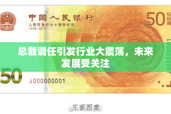 总裁调任引发行业大震荡，未来发展受关注