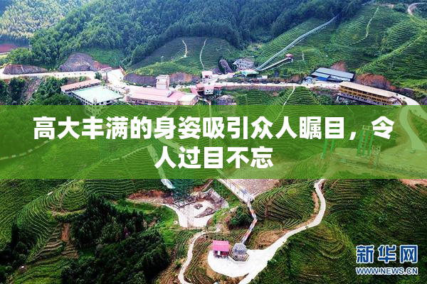 高大丰满的身姿吸引众人瞩目，令人过目不忘