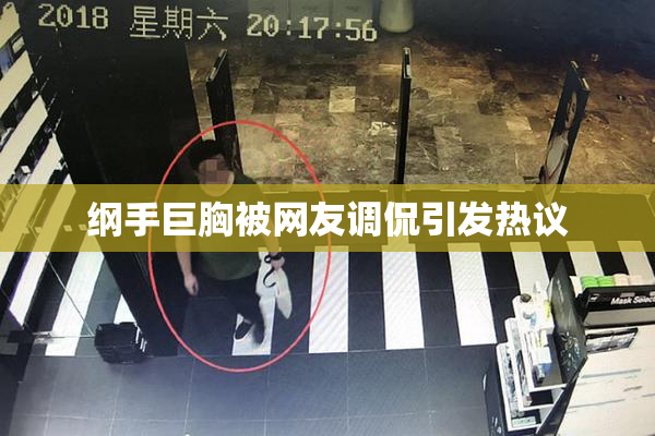 纲手巨胸被网友调侃引发热议