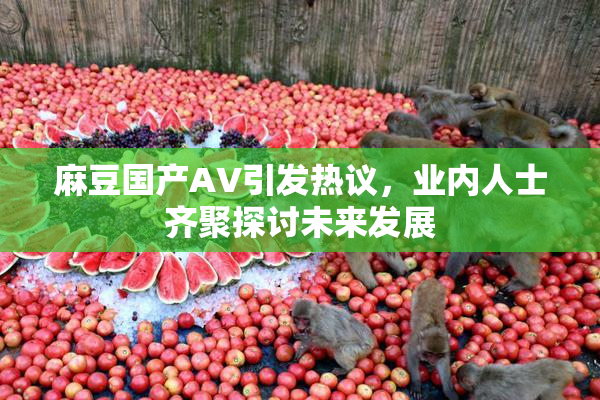 麻豆国产AV引发热议，业内人士齐聚探讨未来发展