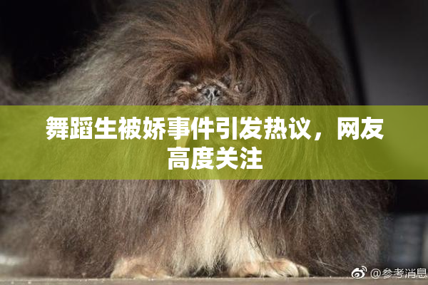 舞蹈生被娇事件引发热议，网友高度关注
