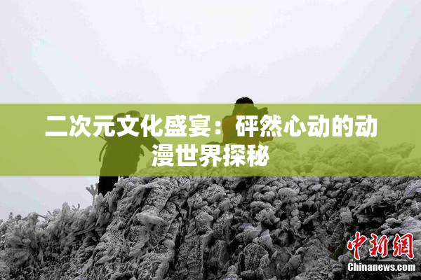 二次元文化盛宴：砰然心动的动漫世界探秘
