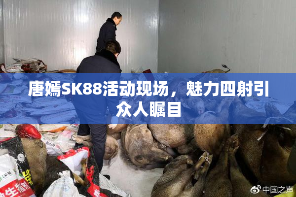 唐嫣SK88活动现场，魅力四射引众人瞩目
