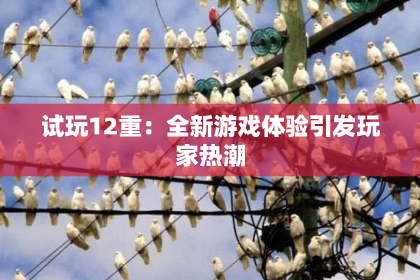 试玩12重：全新游戏体验引发玩家热潮