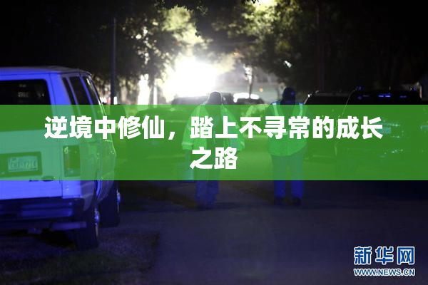 逆境中修仙，踏上不寻常的成长之路