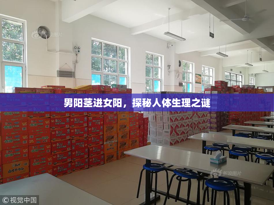 男阳茎进女阳，探秘人体生理之谜
