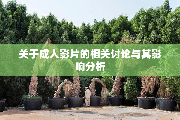 关于成人影片的相关讨论与其影响分析