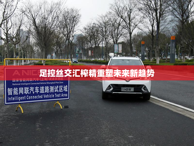 足控丝交汇榨精重塑未来新趋势