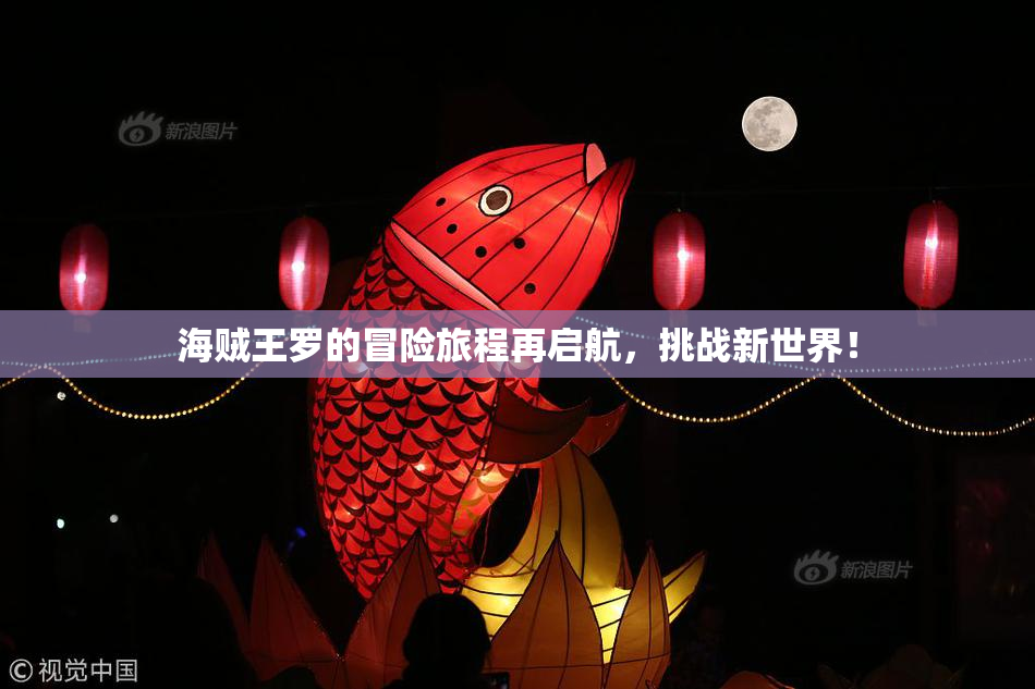 海贼王罗的冒险旅程再启航，挑战新世界！