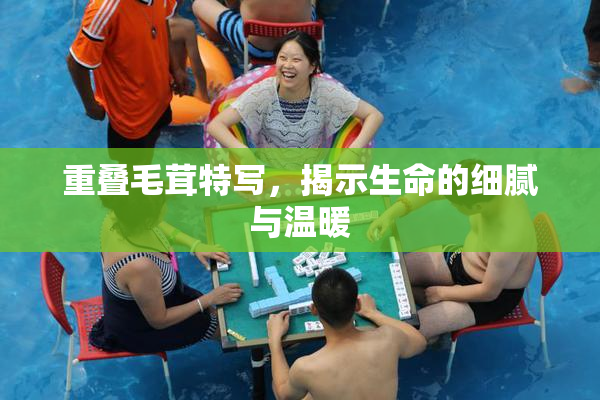重叠毛茸特写，揭示生命的细腻与温暖