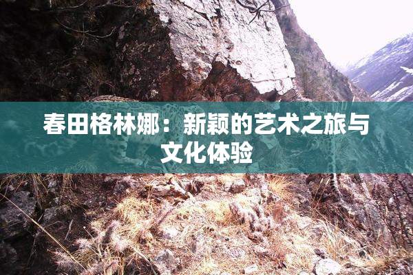 春田格林娜：新颖的艺术之旅与文化体验
