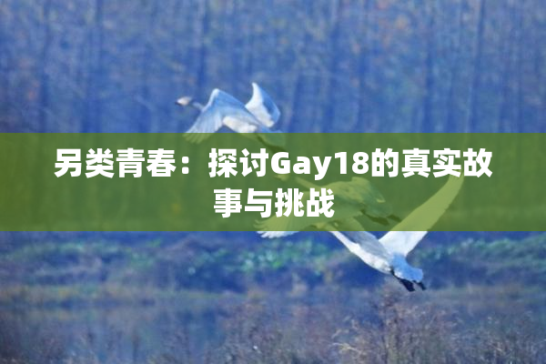另类青春：探讨Gay18的真实故事与挑战