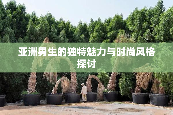 亚洲男生的独特魅力与时尚风格探讨
