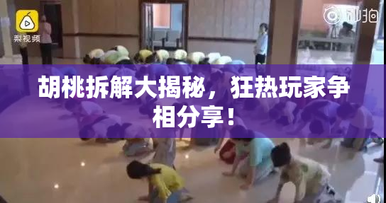 胡桃拆解大揭秘，狂热玩家争相分享！