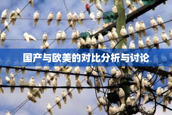 国产与欧美的对比分析与讨论