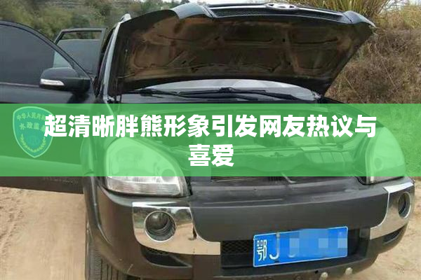 超清晰胖熊形象引发网友热议与喜爱