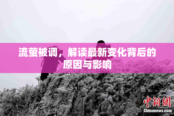 流萤被调，解读最新变化背后的原因与影响