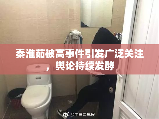 秦淮茹被高事件引发广泛关注，舆论持续发酵