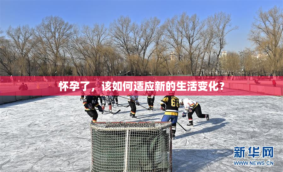 怀孕了，该如何适应新的生活变化？