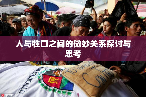 人与牲口之间的微妙关系探讨与思考