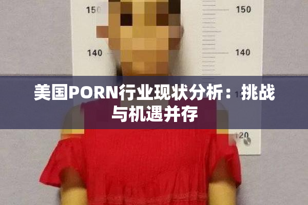 美国PORN行业现状分析：挑战与机遇并存