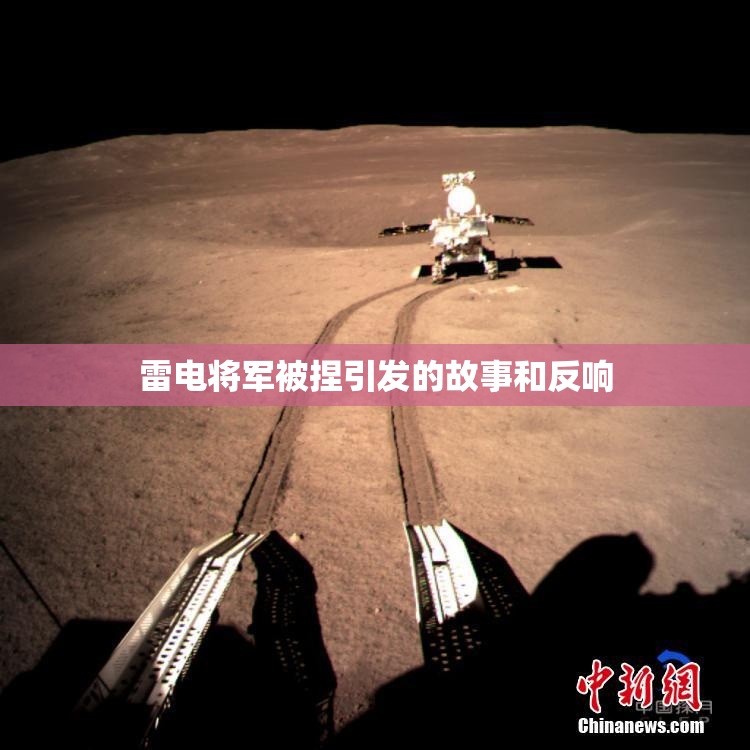 雷电将军被捏引发的故事和反响