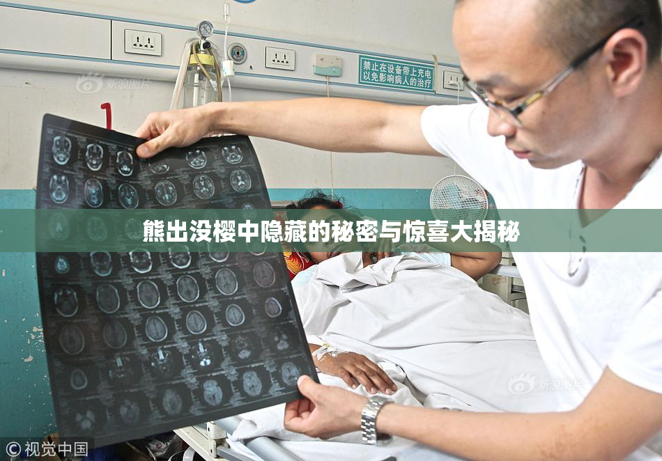 熊出没樱中隐藏的秘密与惊喜大揭秘