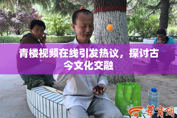 青楼视频在线引发热议，探讨古今文化交融