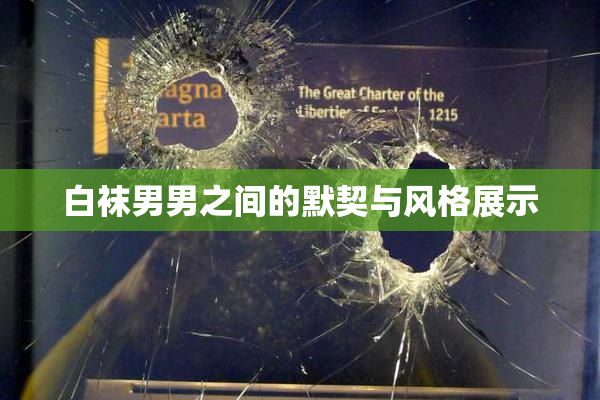 白袜男男之间的默契与风格展示