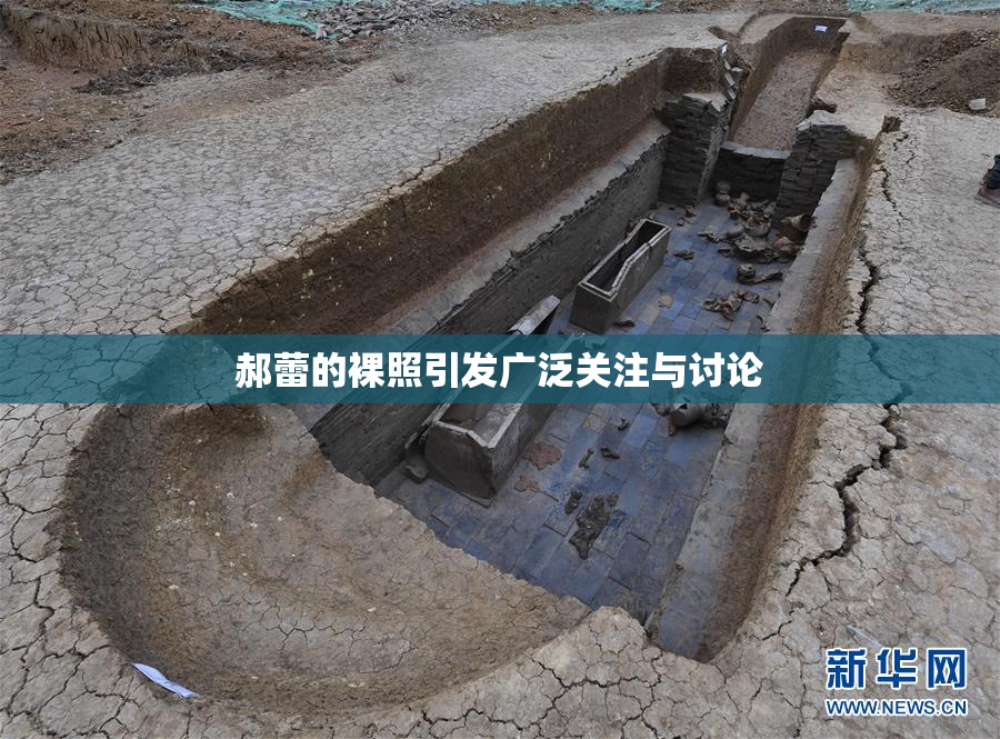 郝蕾的裸照引发广泛关注与讨论