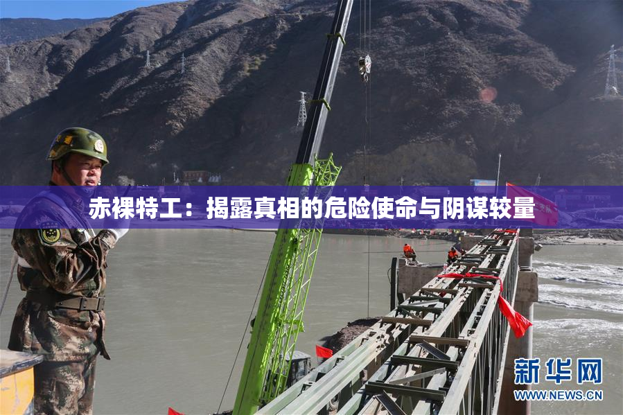 赤裸特工：揭露真相的危险使命与阴谋较量
