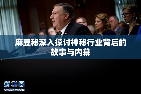 麻豆秘深入探讨神秘行业背后的故事与内幕