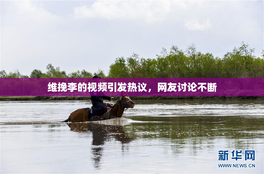维挽李的视频引发热议，网友讨论不断