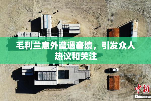 毛利兰意外遭遇窘境，引发众人热议和关注